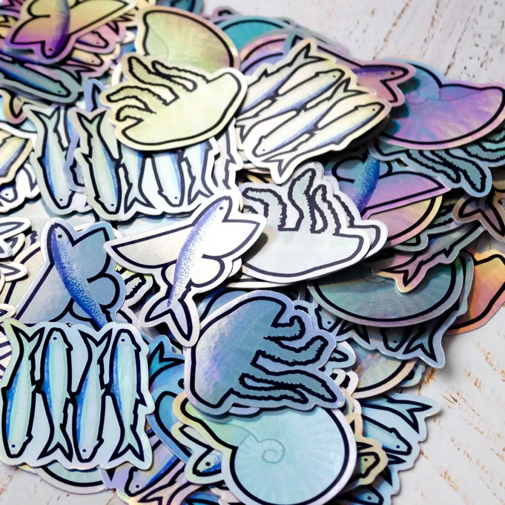 sticker holograficos animales marinos